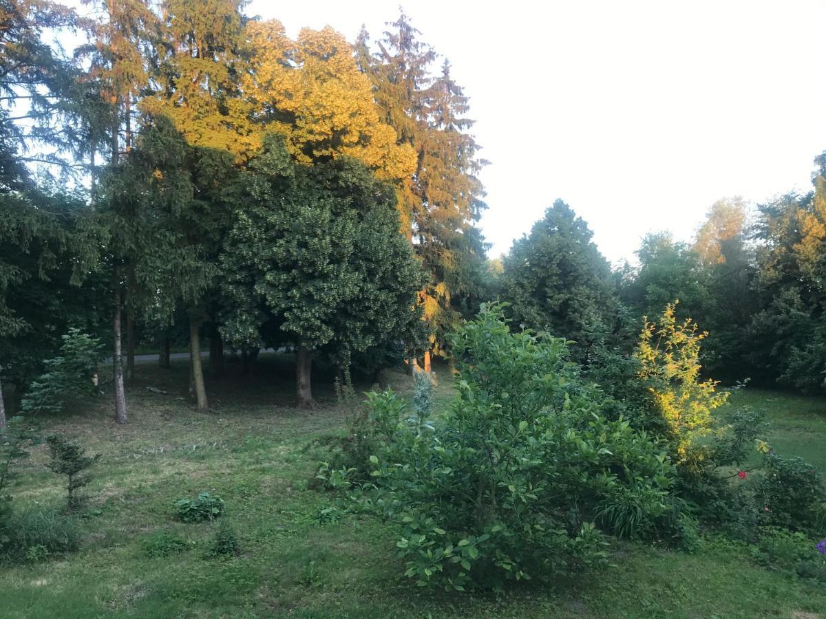 Zabytkowy Drewniany Dom Z 1887 Roku Nowy Dwór Gdański Exterior foto